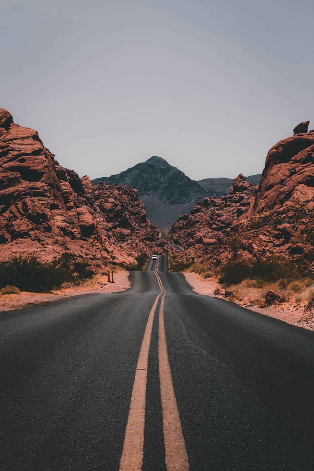 El camino a casa